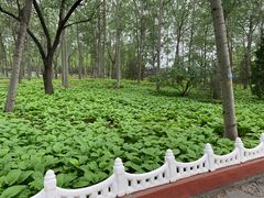 -森林公园(尖草坪区)