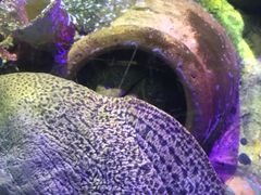 -太平洋海底世界