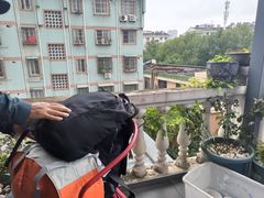 景观位-又见炊烟私房菜(敬亭路店)