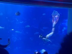 -太平洋海底世界