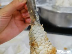 -源港渔村-中山脆肉鲩(博罗店)