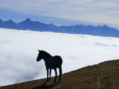-硗碛藏寨·神木垒景区