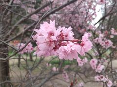 -陶然亭公园