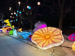 -沈阳奥体冰雪嘉年华