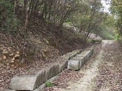 -平湖九龙山旅游度假区