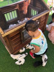 -萌宠亲子动物乐园(槐房万达店)