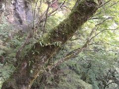 -塔云山