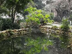 -成都市活水公园