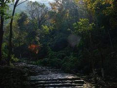 -仙霞关景区