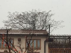 红墙花园酒店-红墙花园酒店