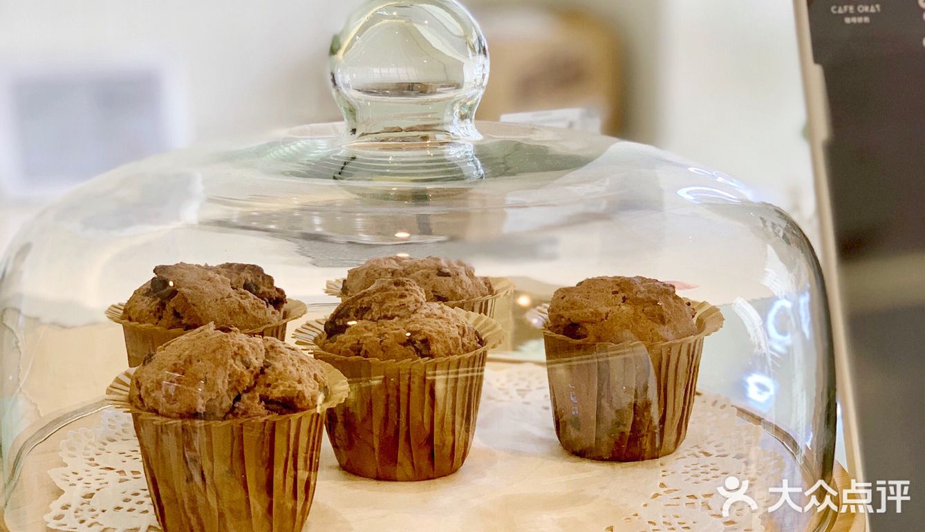 东莞探店|南城新店👌🏻绿植包围的ins风咖啡