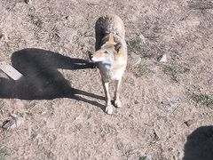 -沈阳森林动物园