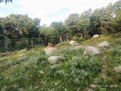 -西安秦岭野生动物园