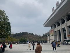 -岳阳东站