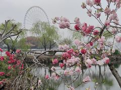 -无锡蠡湖国家湿地公园-蠡园