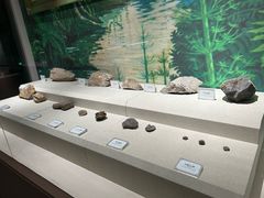 -辽宁古生物博物馆