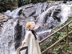 -莫里热带雨林景区