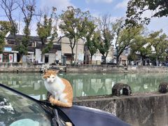 -文魁斋