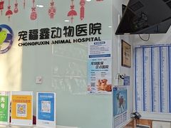 -宠福鑫动物医院(望京分院)