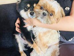 -草墩罗非鱼庄•野生菌•腊排骨(七星街上段店)