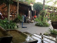 -青城甲(青城山店)