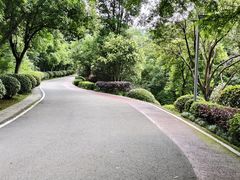 -桃花岭景区