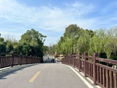 -洋湖国家湿地公园