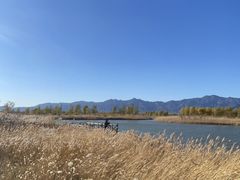 -野鸭湖国家湿地公园