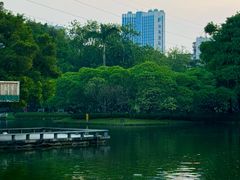-晓港公园