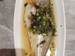 -老绍兴养和饭店(向阳不夜城店)