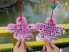-北京欢乐谷
