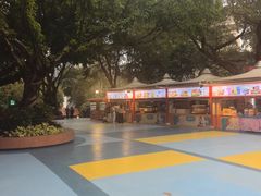 -广州长隆国际大马戏
