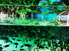 -福州罗源湾海洋世界旅游区