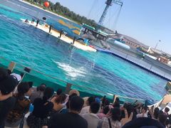 -秦皇岛乐岛海洋王国