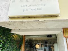 -野草莓自由市场