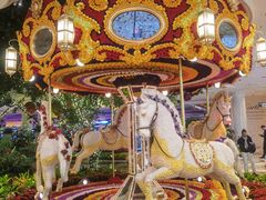 -拉斯维加斯永利酒店