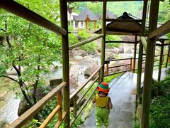 -天目山大树王景区