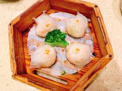 -正哥点心皇子(锦江国际广场店)