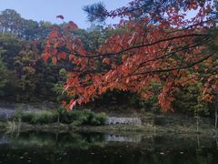 -洛阳白云山景区