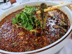 -陈胖子鱼庄(黄辣丁新津店)