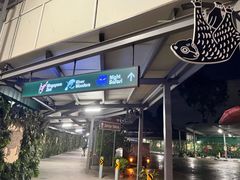 -夜间野生动物园