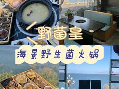 -野菌皇海景野生菌火锅(滨海大道店)