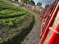 -歌斐颂巧克力小镇