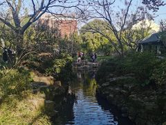 -上海醉白池公园
