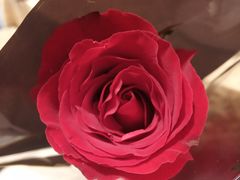 -同里湖大饭店-怡景轩中餐厅(同里古镇店)