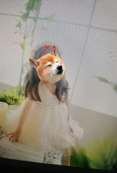 -尤尼可国际影像(万源分店)