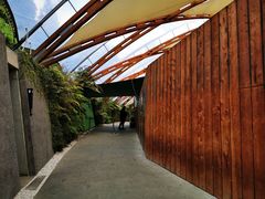 -怀托摩萤火虫洞