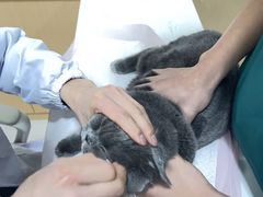 -美联众合24小时·皮肤科·外科·全科诊疗中心(华苑分院)