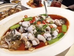 -侨美食家·粤菜(体育西路店)