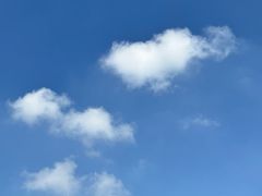 -生宇山珍野生菌汤锅•始于1999(双流古塔店)